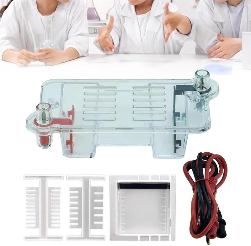 Luwecf Electrophoresis Apparatus Tank Teaching Equipment,Biology Experimental Equipment Learning for High School - Image 4